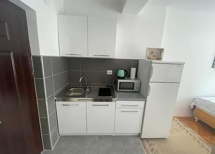 Διαμέρισμα Centar Ζένιτσα